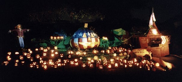 It's a great pumpkin patch!